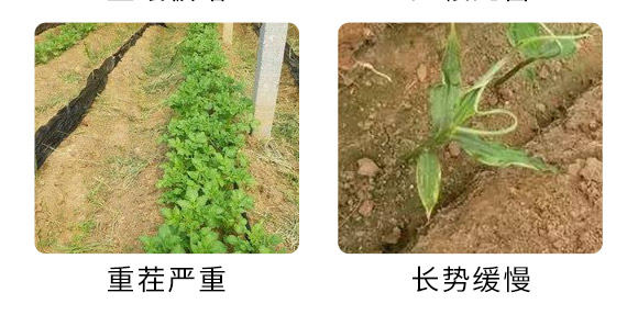 徯恩（青岛Q生物科技有限公司3_07.jpg