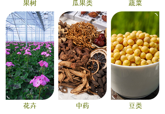 植物免疫诱抗蛋白?益普乐II_05.jpg