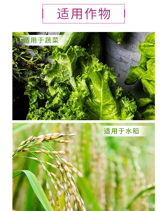 U大豆发酵复合微生物菌剂-金余_04.jpg