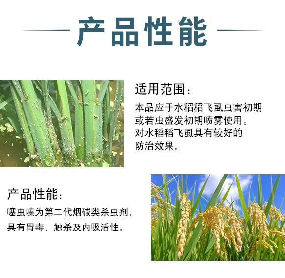 30%噻虫嗪?zhn)?宝然生物_03.jpg