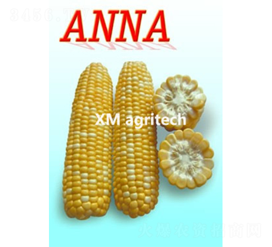 Anna-׷N-r(nng)r(nng)I(y)