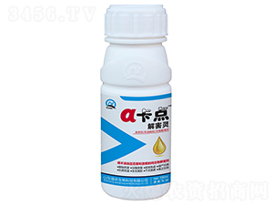 100ml⺦`-c(din)-(qing)r(nng)